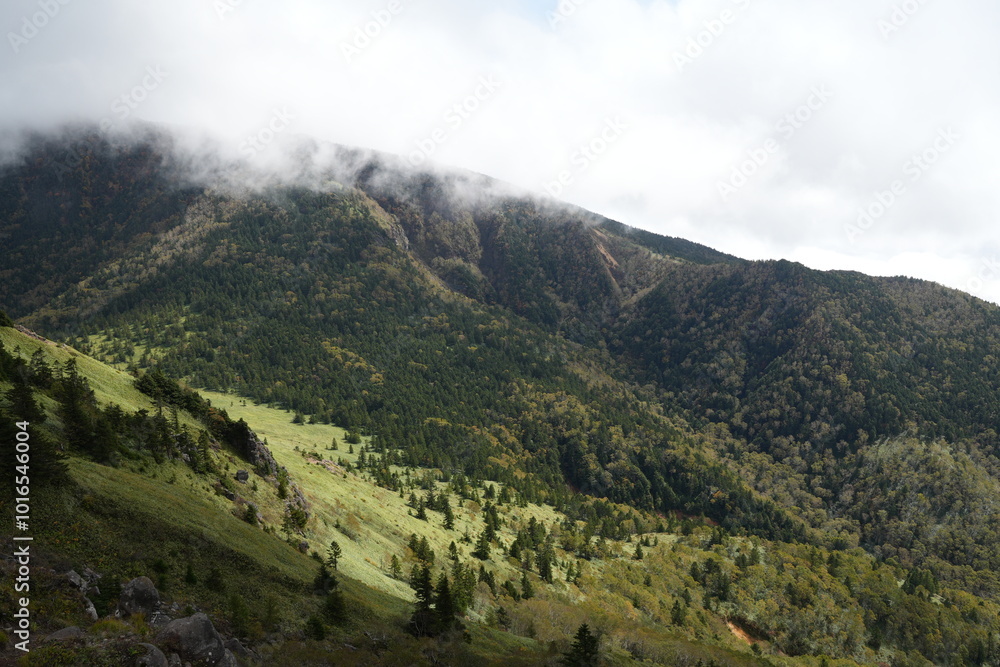 Fototapeta premium Mountain Neko to Azumaya