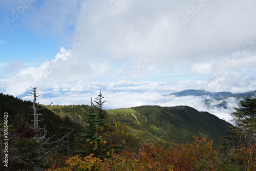 Mountain Neko to Azumaya