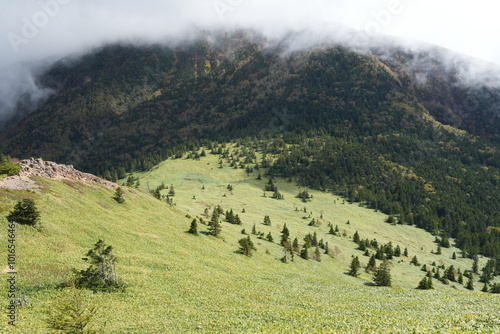Mountain Neko to Azumaya