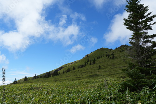 Mountain Neko to Azumaya