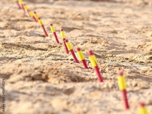 Fényképezés Flags event at surf lifesaving competition