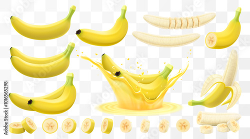 Fresh tropical banana isolated on transparent background. Whole banana, slice in half and bunch of bananas. Peeled and slice cut for organic juice or dessert package. Realistic 3d vector illustration.