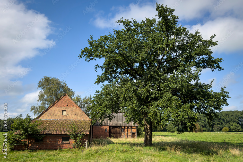 Altes typisch Ostwestfälisches Bauernhaus, Nordrhein Westfalen, Deutschland