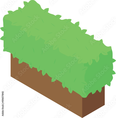 Green bush growing from wooden planter isometric view isolated on white background