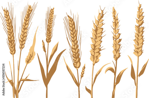Set of minimalistic flat design wheat silhouettes. Hand drawn vector illustration	