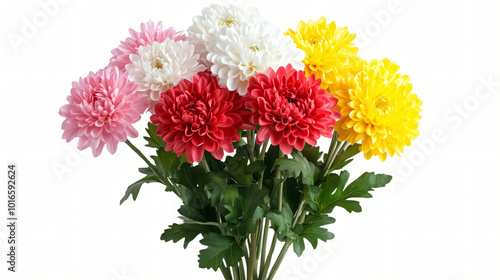 A bouquet of chrysanthemum colorful asters arranged beautifully