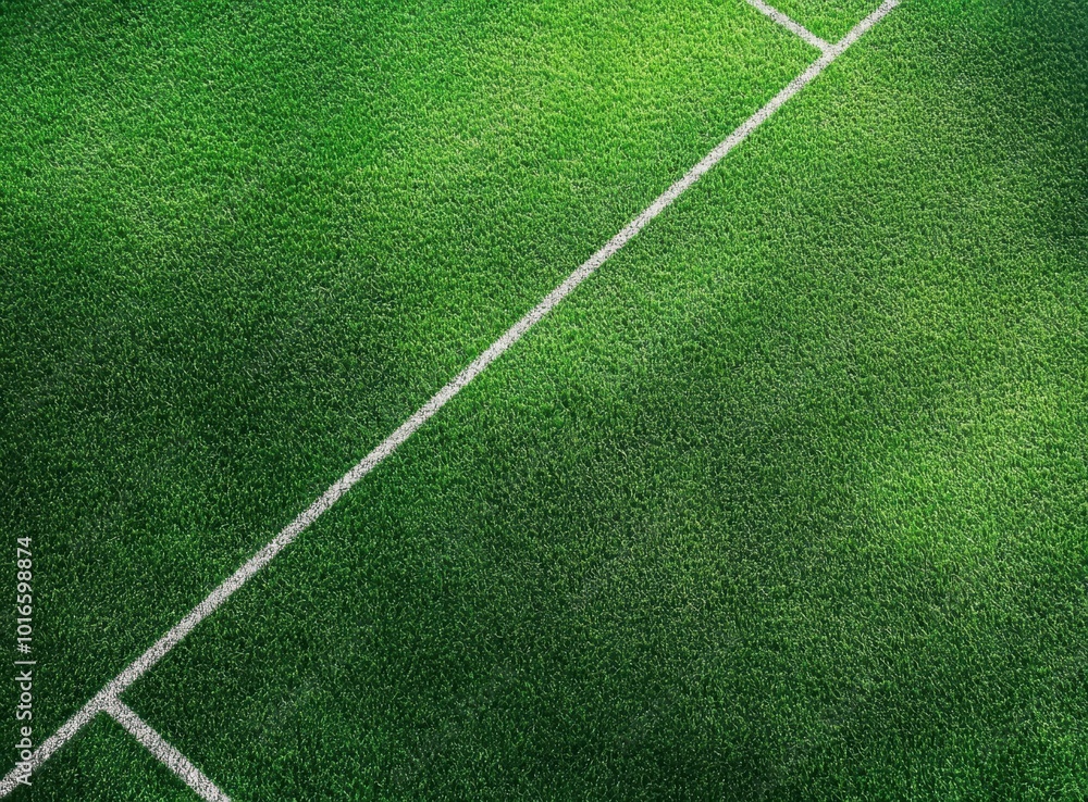 Obraz premium Green Field Lines.