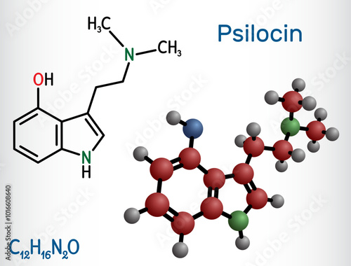 Psilocin molecule. Psychoactive compound in certain species of mushrooms. Structural chemical formula, molecule model. Vector