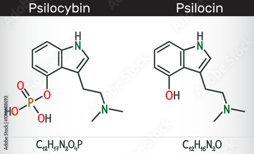 Psilocin and psilocybin molecules. Psychoactive compounds in certain species of mushrooms. Structural chemical formulas. Vector