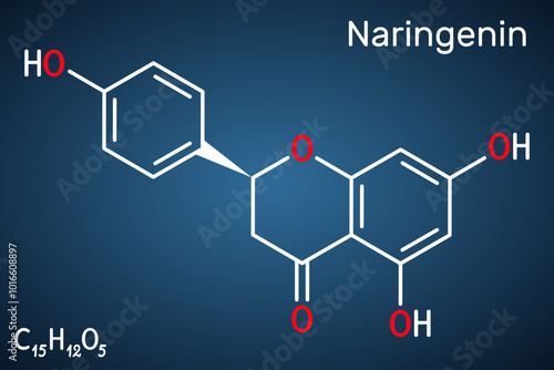 Naringenin molecule. A flavonoid found in citrus fruits with antioxidant and anti-inflammatory properties. Dark blue background Vector