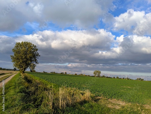 landscape with sky
