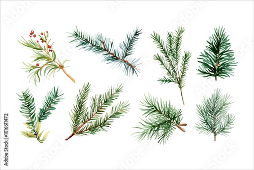 Set of festive watercolor illustration of christmas fir branches collection