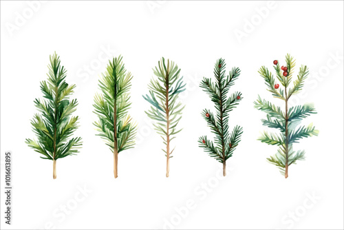 Set of vector vibrant christmas fir branches in beautiful watercolor style art