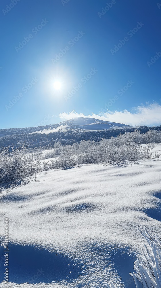 A breathtaking winter landscape with a clear blue sky, sun shining over snow-covered hills and frosted trees in serene tranquility. A breathtaking winter landscape with a clear blue sky, sun shining over snow-covered hills and frosted trees in serene tranquility.