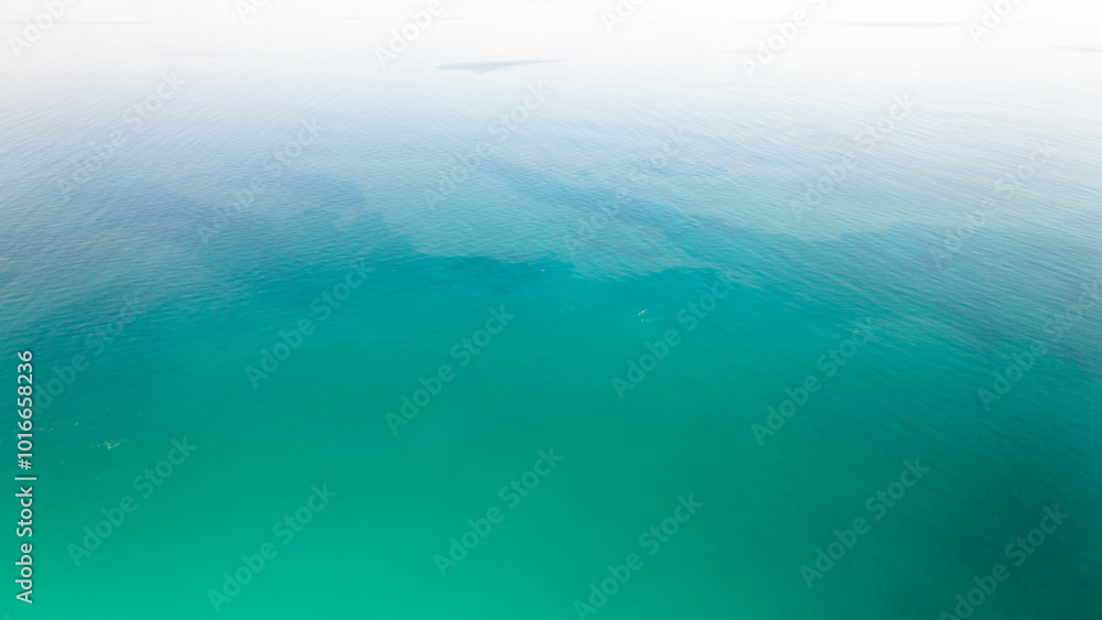 Drone of Cruise ship in the bahamas Drone of Cruise ship in the bahamas