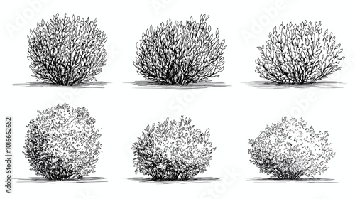 Set of vector bush illustrations on a white background. Architectural Drawings, Minimal style cad bush drawing, Side view, set of graphics bushes elements outline symbol for landscape design drawing