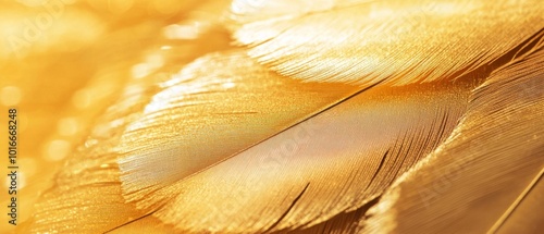 Beautiful gold color trends feather texture background