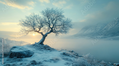 A dead tree in a frozen landscape, its branches brittle and stiff, symbolizing the rigidity and inflexibility of fixed thinking