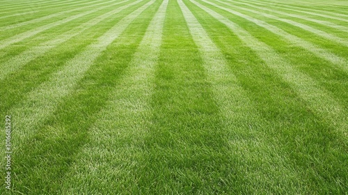 Personalized cuts for moisture control systems in lawn care photo