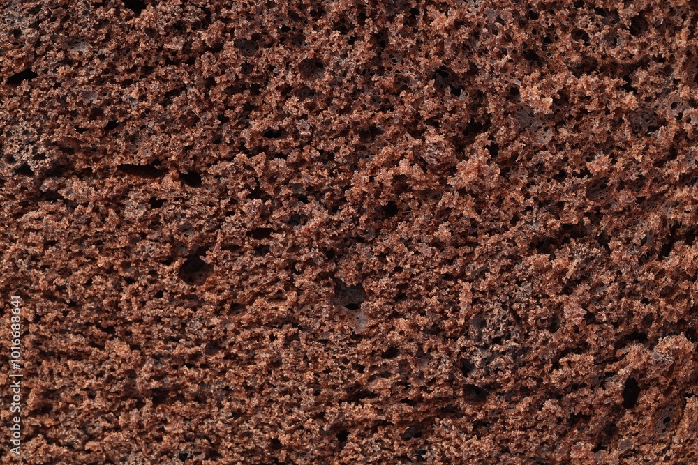 Tasty chocolate sponge cake as background, closeup Tasty chocolate sponge cake as background, closeup