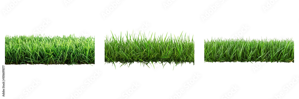 Green grass patches in different shapes on transparent background ideal for landscape designs or garden-themed illustrations Green grass patches in different shapes on transparent background ideal for landscape designs or garden-themed illustrations