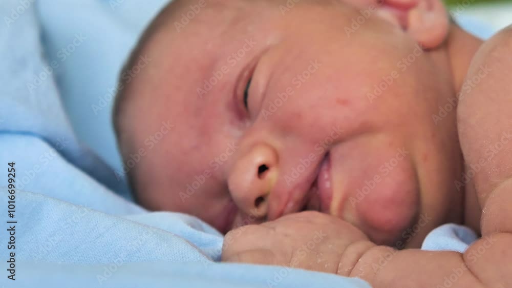 Close-up of a newborn baby lying on a light blue sheet. A tiny fist to the face, fingers curled. The baby cries and licks the fist Close-up of a newborn baby lying on a light blue sheet. A tiny fist to the face, fingers curled. The baby cries and licks the fist