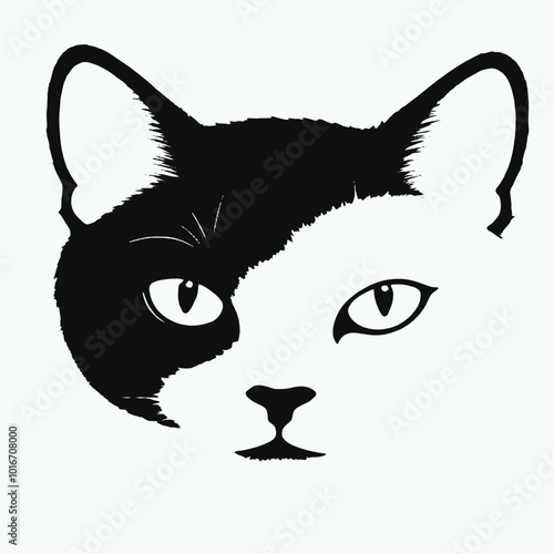 A close-up portrait of a black and white cat with piercing eyes 