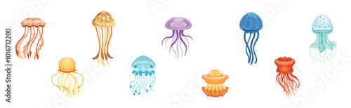 Jellyfish with Floating Tentacles as Ocean Fauna Vector Set