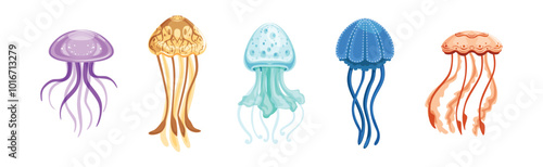 Jellyfish with Floating Tentacles as Ocean Fauna Vector Set