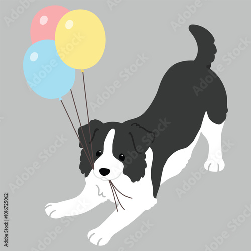 Simple and cute flat colored illustration of Border Collie holding balloons
