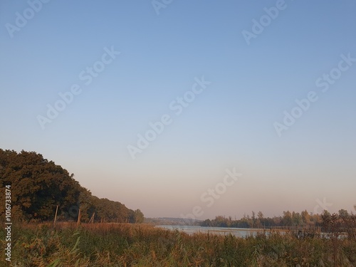 A pond overgrown with reeds at sunset, a deciduous forest visible in the distance, nature