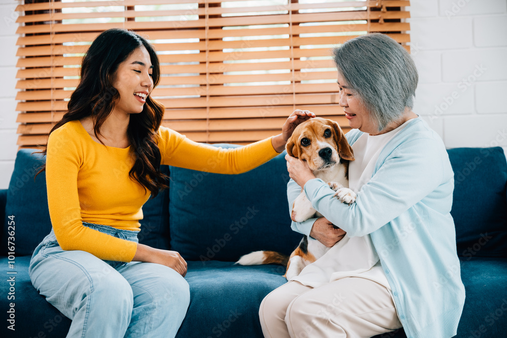On the sofa, a happy woman and her mother embrace their Beagle dog, creating an affectionate family portrait filled with togetherness and smiles. Their bond reflects the strength of family friendships On the sofa, a happy woman and her mother embrace their Beagle dog, creating an affectionate family portrait filled with togetherness and smiles. Their bond reflects the strength of family friendships