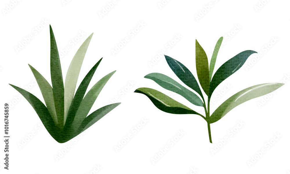 Watercolor tropical leaves . Set of exotic leaves. Hand drawn floral elements. Watercolor tropical leaves . Set of exotic leaves. Hand drawn floral elements.