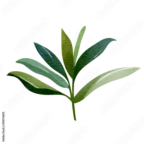 Watercolor tropical leaf. Exotic foliage. Floral illustration. Watercolor jungle