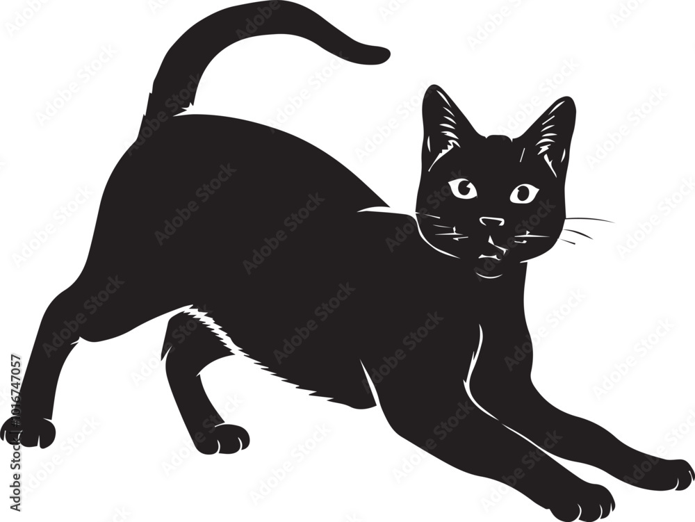 Fototapeta premium vector silhouette image of a cat sitting on a white background Art & Illustration 
