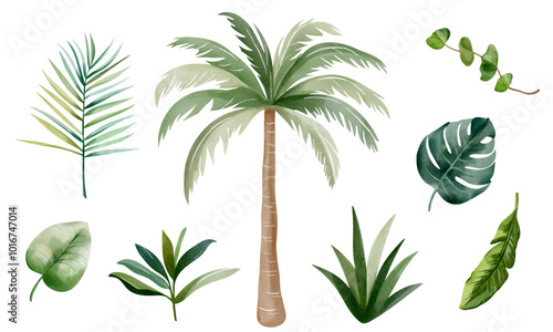 Watercolor tropical leaves and palm tree. Set of exotic leaves. Palm leaves. Hand drawn floral elements.