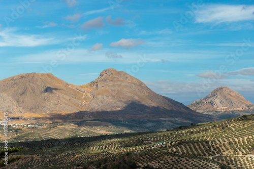 Mountain range casting shadows over olive tree plantation in spain
