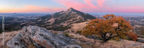  A mountain scene featuring a tree in the foreground and a pink-blue sky in the background
