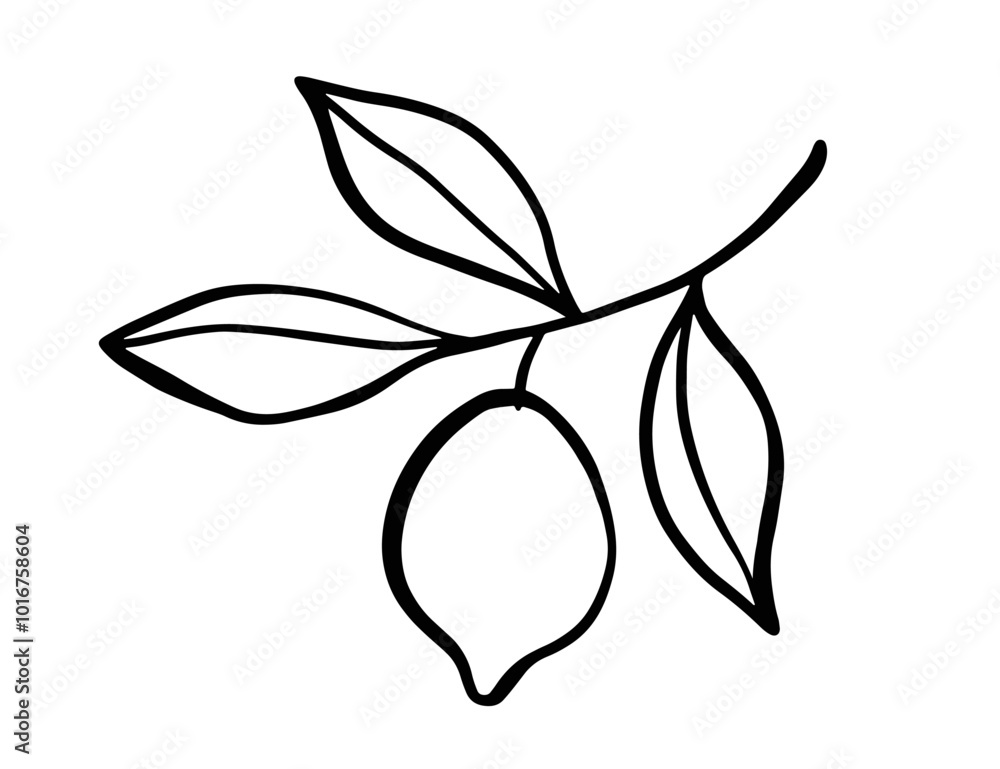 Lemon Branch Sketch Outline Doodle Citrus Icon Lemon Branch Sketch Outline Doodle Citrus Icon
