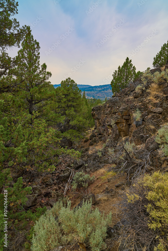 View of rocky canyon on hiking trail at Page Creek Campground, Oregon. View of rocky canyon on hiking trail at Page Creek Campground, Oregon.