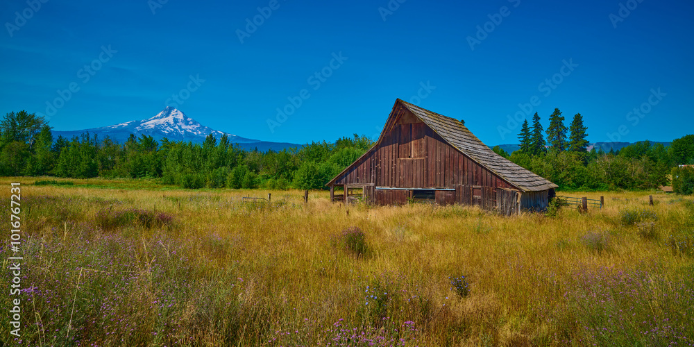 Old Barn in a field with Mount Hood in the distance. Old Barn in a field with Mount Hood in the distance.