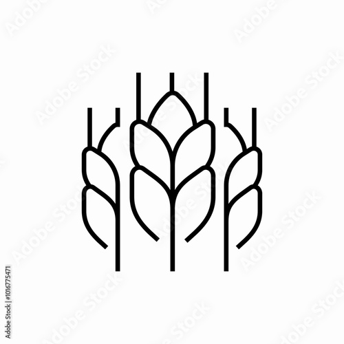 wheat barleys icon sign vector