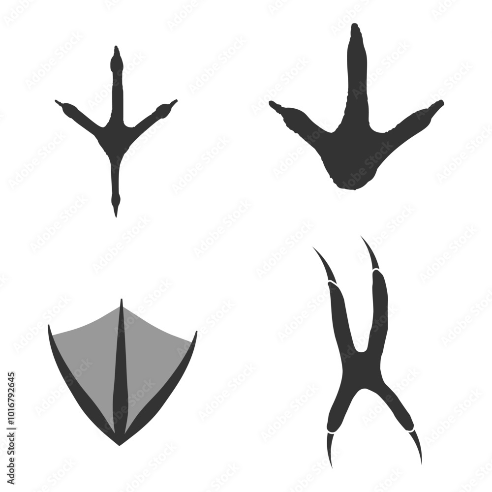 Birds footprints silhouettes set isolated on white background, such as idea of logo in gray. Owl, duck, sparrow, dove foot prints. Stock vector. EPS10. Birds footprints silhouettes set isolated on white background, such as idea of logo in gray. Owl, duck, sparrow, dove foot prints. Stock vector. EPS10.