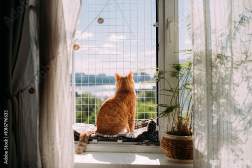A contented cat is sitting on a window with a safety net.
