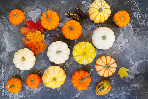 Halloween or thansgiving concept, row of orange and white pumpkins on wooden background with copy space photo