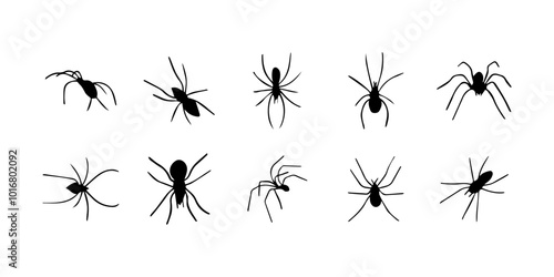 Spiders. Black bug spider silhouette. Scary Halloween animal arachnid, creepy dangerous insect, arachnophobia fear. Vector illustration