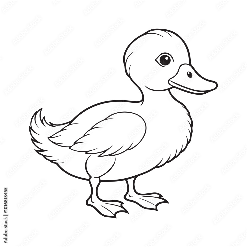 Duckling line art vector illustration Duckling line art vector illustration