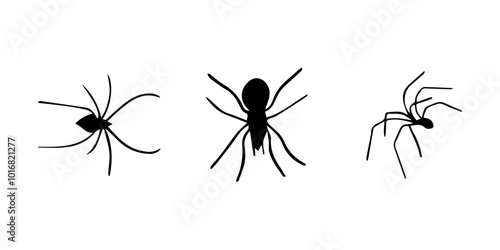 Spiders. Black bug spider silhouette. Scary Halloween animal arachnid, creepy dangerous insect, arachnophobia fear. Vector illustration