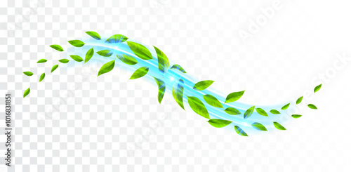 Flying leaves wave. Fresh air wave with mint leaves. Freshness effect. . Vegan, eco, nature design element.
