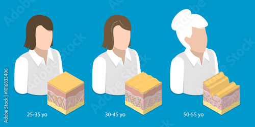 3D Isometric Flat Vector Illustration of Woman Of Difference Ages, Process Of Getting Older Over Time
